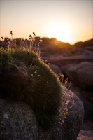 Nom du fichier=2403030926268327618367364.jpg
Taille du fichier=432Ko
Dimensions : 801x1200
Ajouté le : 03 Mars 2024 2403030926268327618367364.jpg