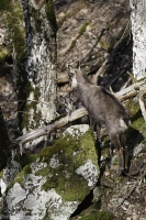 Nom du fichier=24031105143921144418370564.jpg
Taille du fichier=269Ko
Dimensions : 667x1000
Ajouté le : 11 Mars 2024 24031105143921144418370564.jpg