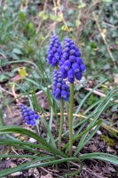 Nom du fichier=24031706310025776018373757.jpg
Taille du fichier=461Ko
Dimensions : 666x1000
Ajouté le : 17 Mars 2024 24031706310025776018373757.jpg