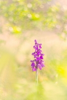 Nom du fichier=24041407102724958918388541.jpg
Taille du fichier=395Ko
Dimensions : 800x1200
Ajouté le : 14 Avril 2024 24041407102724958918388541.jpg