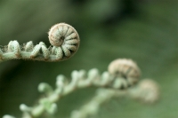 Nom du fichier=2635_31_03_13_10_40_04.jpg
Taille du fichier=164Ko
Dimensions : 1024x683
Ajouté le : 11 Avril 2013 2635_31_03_13_10_40_04.jpg