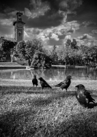 Nom du fichier=2647_29_04_13_6_17_49.jpg
Taille du fichier=336Ko
Dimensions : 728x1024
Ajouté le : 10 Mai 2013 2647_29_04_13_6_17_49.jpg