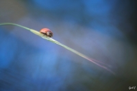 Nom du fichier=49852059482_82e4ba9108_o.jpg
Taille du fichier=360Ko
Dimensions : 1200x798
Ajouté le : 03 Mai 2020 49852059482_82e4ba9108_o.jpg