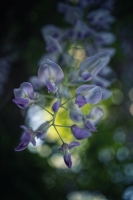 Nom du fichier=52072445310_41e0118a80_o.jpg
Taille du fichier=393Ko
Dimensions : 854x1280
Ajouté le : 15 Mai 2022 52072445310_41e0118a80_o.jpg