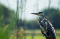 Nom du fichier=52123526997_e43da42117_o.jpg
Taille du fichier=358Ko
Dimensions : 1280x854
Ajouté le : 05 Juin 2022 52123526997_e43da42117_o.jpg