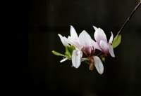 Nom du fichier=7YyPRb-T2.jpg
Taille du fichier=469Ko
Dimensions : 1024x705
Ajouté le : 31 Mars 2024 7YyPRb-T2.jpg