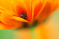 Nom du fichier=8767_25_02_18_11_09_14.jpg
Taille du fichier=112Ko
Dimensions : 1024x678
Ajouté le : 14 Mars 2018 8767_25_02_18_11_09_14.jpg