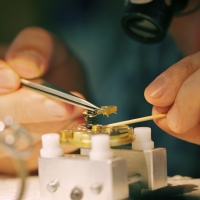 Nom du fichier=8767_26_10_19_8_39_18.jpg
Taille du fichier=161Ko
Dimensions : 900x900
Ajouté le : 17 Novembre 2019 8767_26_10_19_8_39_18.jpg