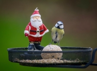 Nom du fichier=VlWE7.jpg
Taille du fichier=156Ko
Dimensions : 999x744
Ajouté le : 03 Janvier 2021 VlWE7.jpg