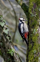 Nom du fichier=_k5m3310.jpg
Taille du fichier=479Ko
Dimensions : 848x1280
Ajouté le : 18 Mars 2024 _k5m3310.jpg