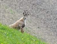 Nom du fichier=nQe0Pb-curieux.jpg
Taille du fichier=461Ko
Dimensions : 1024x797
Ajouté le : 04 Février 2024 nQe0Pb-curieux.jpg