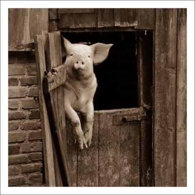 2008-08-18/ Gomic
par: Gomic -[Vos Series: Sortie en Alsace]-
