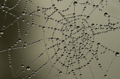 2008-10-26/ Neosilencers
par: Neosilencers -[Gouttes]-
