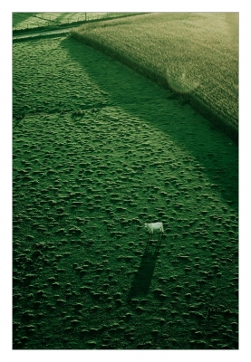 2008-10-19/ GregDeMons
par: GregDeMons -[vos series, Bapteme en mongolfiere]-
