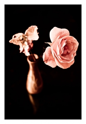 2008-11-02/ GregDeMons
par: GregDeMons -[vos series: Light painting d automne]-
