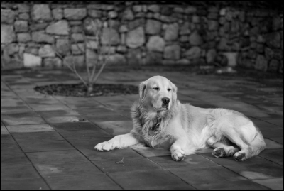 2009-01-04/ Gauthier_07
Par: Gauthier_07 -[Vos series: Le Patron]-
