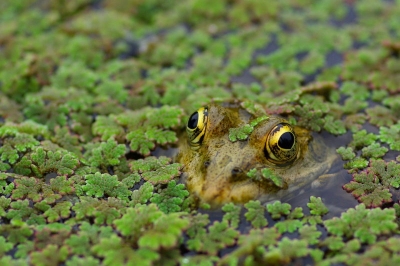 2008-06-02/ damzed
par: damzed
