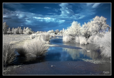 2008-11-06/ fab2b
par: fab2b -[Infra-Rouge]-
