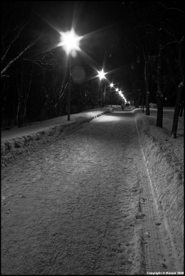 2008-12-30/ Bonzai
par: Bonzai -[Noir et Blanc, Sepia et Desaturation partielle]-
