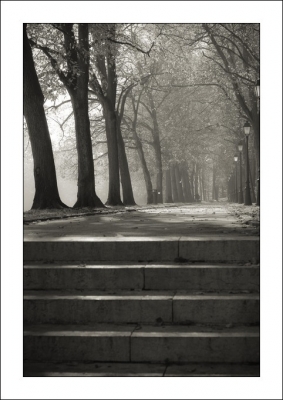 2008-10-28/ Alecto
par: Alecto -[Noir et Blanc, Sepia et desaturation partielle]-
