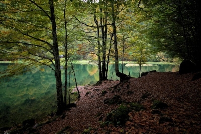 2008-10-12/ LeTaich11
par: LeTaich11 -[vos series: Autour du lac de Bethmale]-
