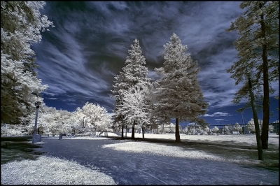 2009-10-18/ Pixel
par: Pixel - [ Infra-Rouge ]-
