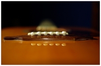 Nom du fichier=imgp850931jpgoj6.jpg
Taille du fichier=198Ko
Dimensions : 800x521
Ajouté le : 07 Décembre 2008 imgp850931jpgoj6.jpg