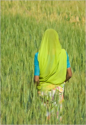 2009-04-10 / bd06
Par bd06 dans [Vos series] Inde
