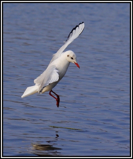 2011-03-06 / fabien80
Par fabien80 dans [vos series] [serie en vol]
