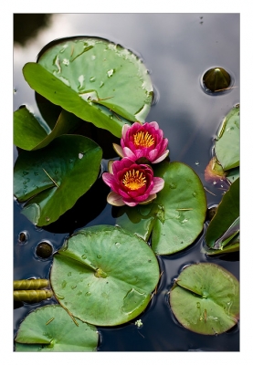 2008-05-27 / GregDemons
Par GregDemons
