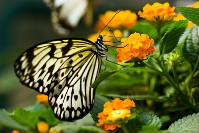 2008-06-14 / brandulf
Par brandulf
