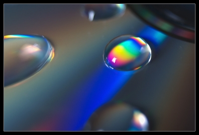 2008-11-28 / Insane
par Insane [ Gouttes ]
