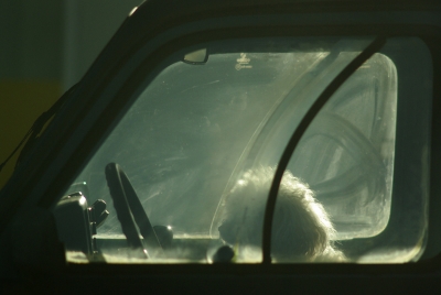 2009-01-23 / Seb67
Par Seb67 [ Surprenant / Amusant ]
