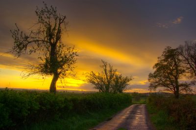 2008-04-19 / fred_73
Par : fred_73
