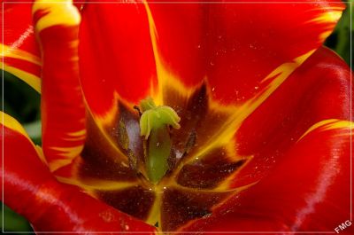 2008-04-26 / FMG
Par FMG
