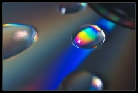 Nom du fichier=IMGP3150.jpg
Taille du fichier=136Ko
Dimensions : 800x543
Ajouté le : 27 Novembre 2008 IMGP3150.jpg