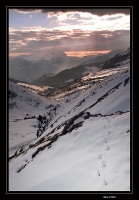 Nom du fichier=couchesoleil800.jpg
Taille du fichier=267Ko
Dimensions : 556x800
Ajouté le : 21 Novembre 2010 couchesoleil800.jpg