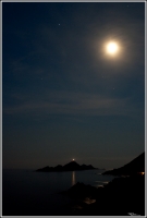 Nom du fichier=imgp8369.jpg
Taille du fichier=86Ko
Dimensions : 540x800
Ajouté le : 02 Juillet 2009 imgp8369.jpg