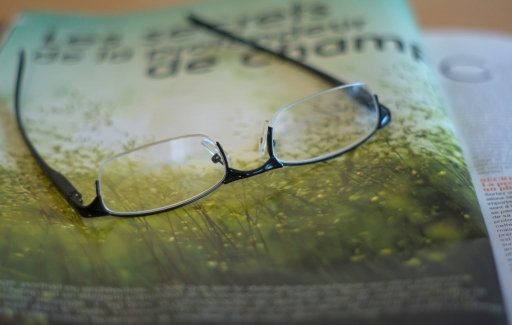 2015-03-01 /  phoenix1366
phoenix1366 [ Nature morte ]
