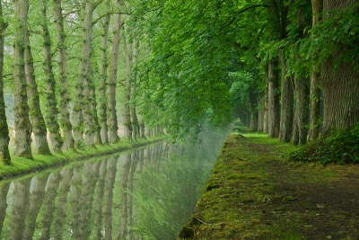 2009-05-23/ Phil78
Par : Phil78 [ Paysages ]
