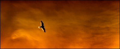 2009-10-31/ Pixel
Par : Pixel [ Ciel / Nuages ]
