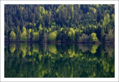 2008-07-02/ Fab
Par Fab [ Reflets et ombres ]
