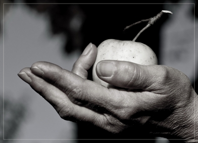 2009-03-13/ Pixel
Par : Pixel [ Noir et Blanc, Sepia et desaturation partielle ]
