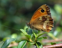 Nom du fichier=13080308364613423111435836.jpg
Taille du fichier=184Ko
Dimensions : 1024x803
Ajouté le : 03 Août 2013 13080308364613423111435836.jpg