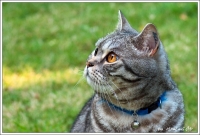 Nom du fichier=i734793_IMGP8388PE6W.jpg
Taille du fichier=187Ko
Dimensions : 800x542
Ajouté le : 03 Juillet 2009 i734793_IMGP8388PE6W.jpg