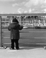 Nom du fichier=img349l.jpg
Taille du fichier=156Ko
Dimensions : 629x800
Ajouté le : 09 Avril 2010 img349l.jpg