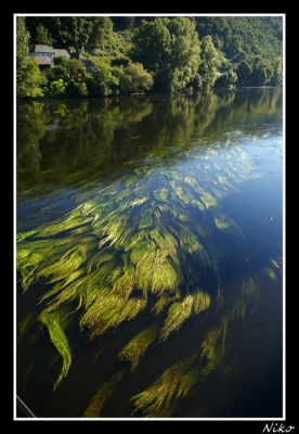 2008-12-04 / Niko40 
Par : Niko40  [ Plans d'eau / Rivieres ]
