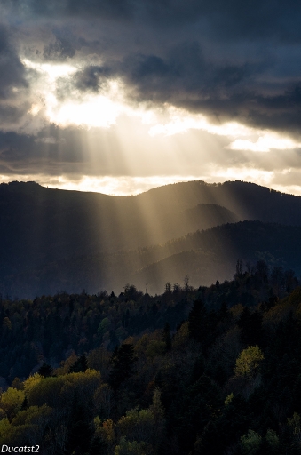 2013-11-21 / ducatst2
ducatst2  [ Montagnes ]
