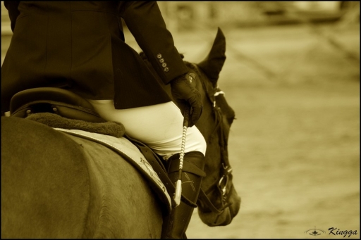 2011-12-18  / kingga 
Par : kingga  [Chevaux]
