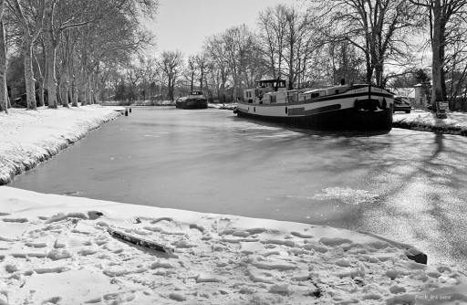 Février 2012  - Pech_les oies
Fevrier 2012 - Pech_les oies
